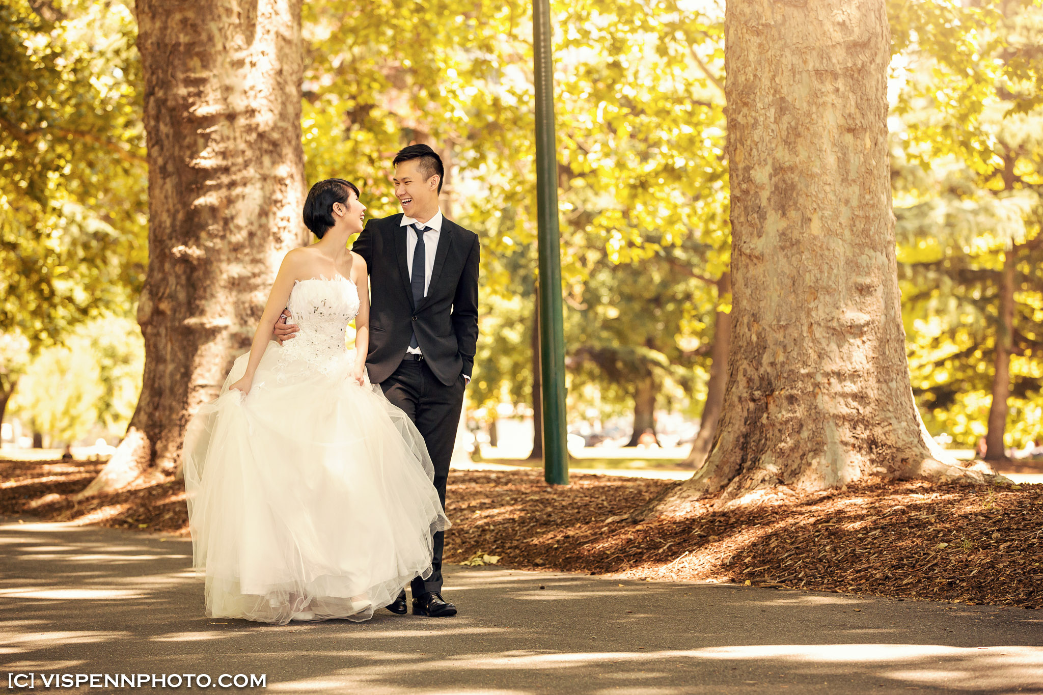 PRE WEDDING Photography Melbourne Ivy PreWedding 1423